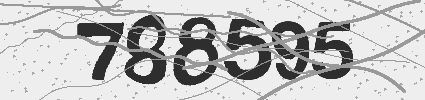 Captcha 24